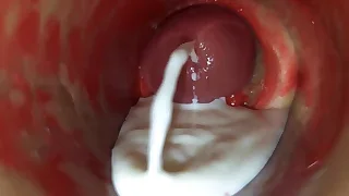 Sex Gay Porn 44